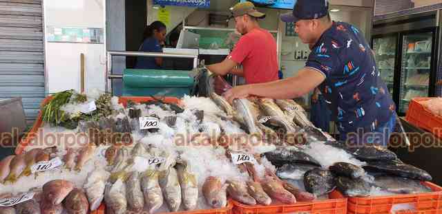 Cuaresma iniciará con escasez de pescados y mariscos en Veracruz Puerto -  Al Calor Político