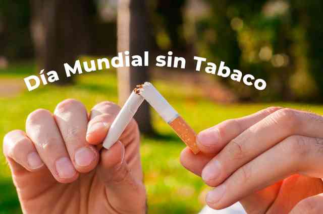 Recomienda IMSS Veracruz Norte evitar consumo de tabaco – alcalorpolitico