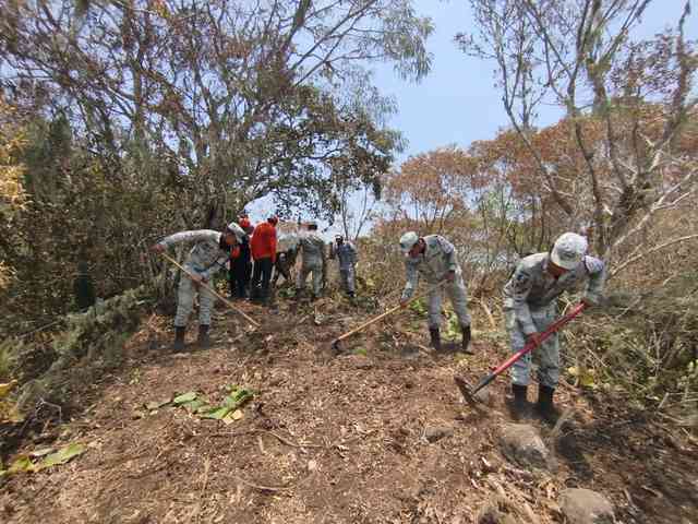 Veracruz ya duplicó incendios forestales de últimos dos años – alcalorpolitico