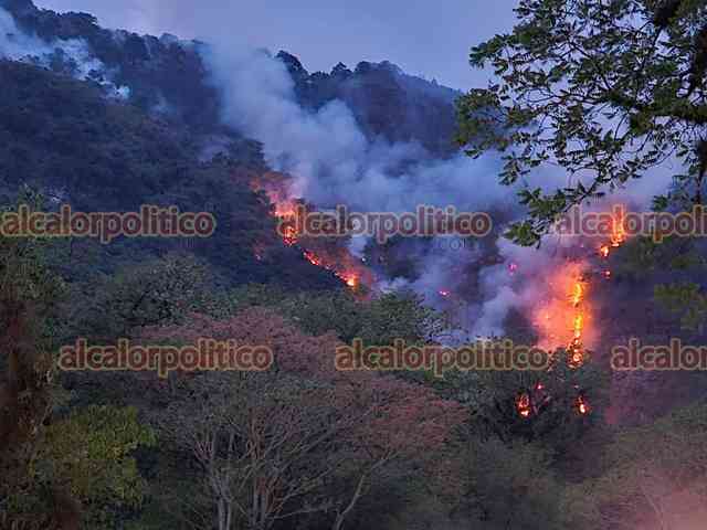 Incendios forestales en Veracruz consumen 12 mil hectáreas: CONAFOR – alcalorpolitico