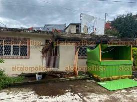 Xalapa, Ver., 2 de octubre de 2024.- Fuertes vientos derribaron rbol en la calle Cristbal Rodrguez colonia Obrero Campesina, el cual cay sobre una caseta vaca ubicada sobre la banqueta. El incidente tambin dej sin luz algunas viviendas.