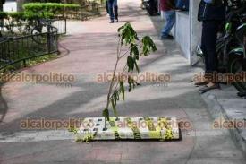 Xalapa, Ver., 16 de octubre de 2024.- Con una rama, advierten a transentes por una tapa mal colocada en la avenida vila Camacho.
