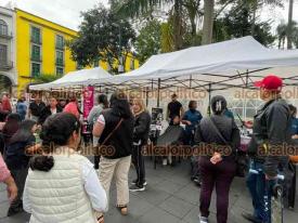 Xalapa, Ver., 20 de octubre de 2024.- En el parque Jurez, la Fundacin LEPACH recolect este domingo trenzas de cabello y tapitas en beneficio de nios con cncer.
