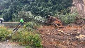 Altotonga, Ver., 21 de octubre de 2024.- Cuerpos de emergencia atienden un deslave que mantena cerrada la circulacin de la carretera Perote-Altotonga, a la altura de Pancho Poza, con maquinaria se trabaja para liberar la circulacin.