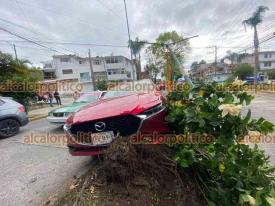 Xalapa, Ver., 26 de octubre de 2024.- Conductor aparentemente ebrio que se identific como elemento de la SSP choc contra el semforo de la avenida Amricas esquina con Nios Hroes. La Polica Vial tom conocimiento del percance.