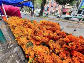 Xalapa, Ver., 29 de octubre de 2024.- Desde temprana hora, puestos de venta de flores de cempaschil, verduras y adornos para altares de muerto se instalaron en el mercado de Los Sauces.