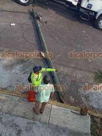 Xalapa, Ver., 4 de noviembre de 2024.- Camin de paquetera derrib un poste de telefona en la avenida Justino Sarmiento, esquina con Volcn de Colima. Trnsito del Estado tom conocimiento del accidente. No hubo lesionados.
