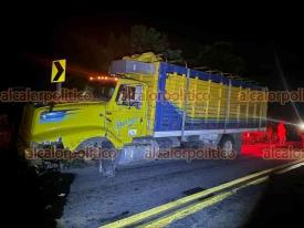 Puente Nacional, Ver., 8 de noviembre de 2024.- Muere motociclista luego de incrustarse contra un camin Torton cargado de ganado, sobre la carretera Veracruz-Xalapa.