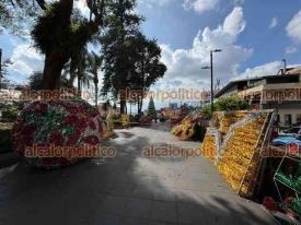 Xalapa, Ver., 12 de noviembre de 2024.- Este martes, trabajadores del Ayuntamiento comenzaron a instalar adornos navideos en el Parque Jurez.
