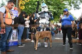 Xalapa, Ver., 17 de noviembre de 2024.- Acompaados por personajes de Star Wars, el albergue animal ?Ada Azul? organiz una pasarela para promover la adopcin de los modelos ms perros en el parque Jurez.
