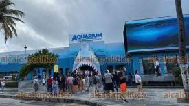 Veracruz, Ver., 20 de diciembre de 2024.- Largas filas para ingresar al Aquarium. Antes de que abra sus puertas, ya muchos esperan para hacer los recorridos. Con el inicio de la temporada vacacional, crece la afluencia en sitios tursticos de la conurbacin.