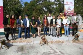 Xalapa, Ver., 10 de enero de 2025.- En el parque Natura, la secretaria de Medio Ambiente, Luz Mariela Zaleta, puso en marcha la campaa Eco Navidad 2025, la cual tiene como objetivo la recoleccin y reciclaje de rboles navideos naturales.