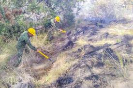 Perote, Ver., 10 de enero de 2025.- Elementos del Ejrcito, PC y CONAFOR se desplegaron para combatir un incendio forestal en el Ejido Villa, siniestro reportado alrededor de las 7:50 horas, el cual ya es sofocado en su totalidad.