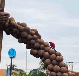 Tras el derrumbe este martes 16 de diciembre de �El Colotero�, enorme figura de un trabajador que deja caer 192 naranjas, cabe recordar que en enero de este 2025 un ebrio individuo escal� el monumento, lo que daba cuenta de la resistencia de la estructura en ese entonces.