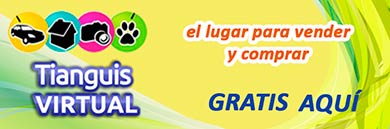 Tianguis Virtual